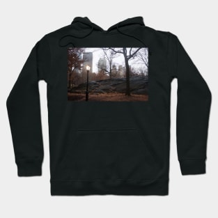 December in Central Park Hoodie